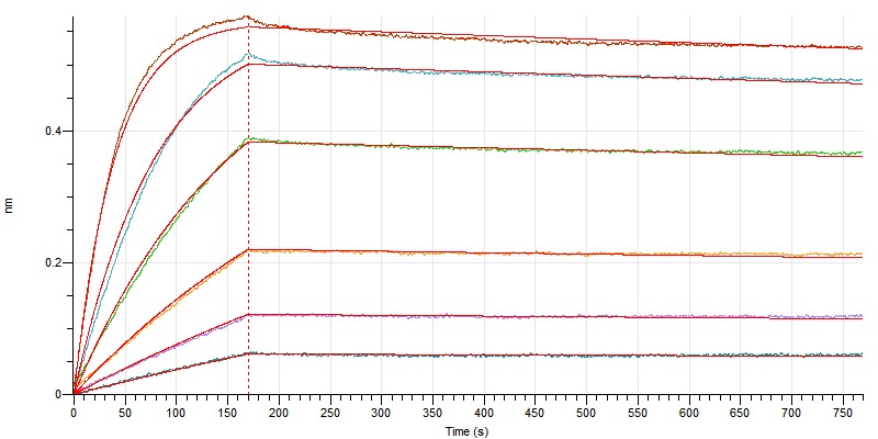 Biotinylated Human CD47 +BLI.jpg